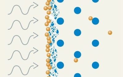 PROVEIL® Third Story